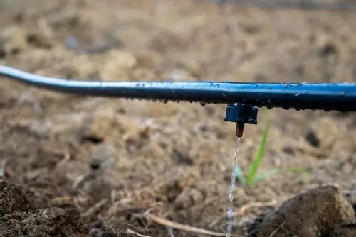 Dry Riverbeds and Drip Systems in Holladay, UT