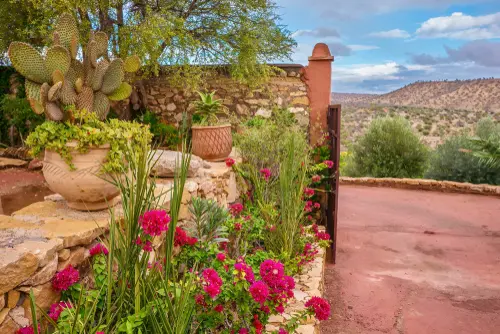 Desert Landscaping in Holladay, UT