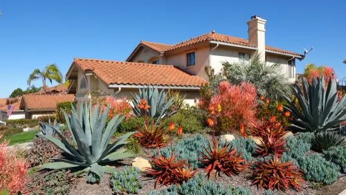 Drought-tolerant native plantings in Murray, UT