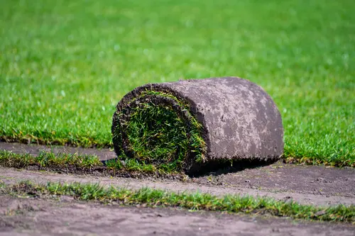 Turf reduction and strategic lawn zoning in Murray, UT