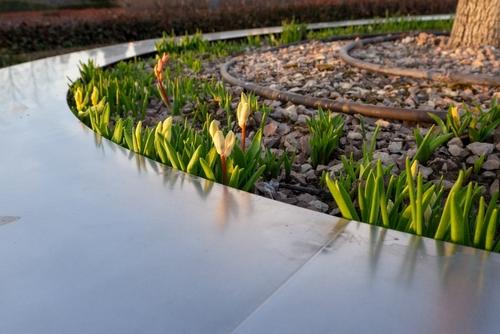 Water-Efficient Landscape Construction That Still Looks Beautiful