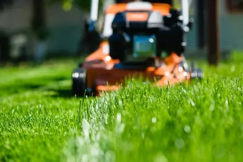 Comprehensive Routine Lawn Maintenance in Millcreek, UT