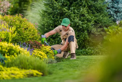 Lawn Care Services in Millcreek, UT
