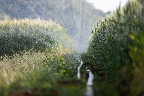 Complete Irrigation Diagnostic and Repair in Holladay, UT